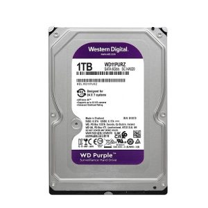 Ổ cứng tím Western 1TB Chính hãng